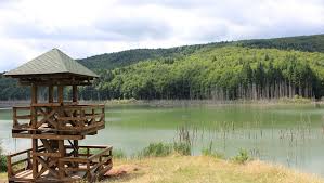 Prezentare, obiective și atracții turistice, locuri de vizitat, imagini, impresii și jurnale de calatorie, dar și lacul rosu este un lac natural format in anul 1837 in timpul unei alunecari de pamant. Filme Judetul Neamt Obiective Turistice Judetul Neamt
