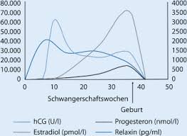 Physiologische Veranderungen In Der Schwangerschaft Springerlink