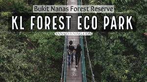 Enjoy the trails and the 200m canopy walk 21m above the ground. Kl Forest Eco Park Bukit Nanas Forest Reserve Annaevening