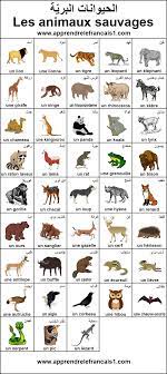 صور الحيوانات البرية بالفرنسية learn english free books download free books