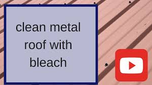 If you find either of these on your roof, you may want to call for a professional roofer to help clean and repair your roof before you attempt to clean it yourself. Amazing Washing Cleaning Is Oddly Satisfying How To Clean Metal Carport Roof Youtube