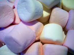 Check spelling or type a new query. Percobaan Marshmallow Stanford Wikipedia Bahasa Indonesia Ensiklopedia Bebas