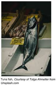 Image result for Scombroid Fish Poisoning