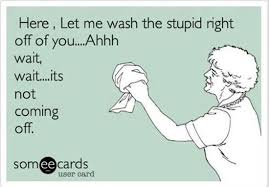 You Can't Fix Stupid...