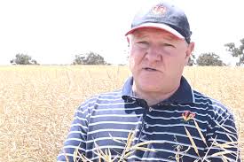 Insights: Trending Topics