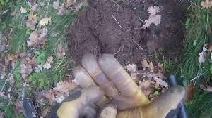 Garrett ace 350 handheld metal detector dd coil. Garrett Euro Ace 350 Metal Detector Youtube