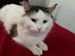 Found a sweet baby near 61st and Memorial