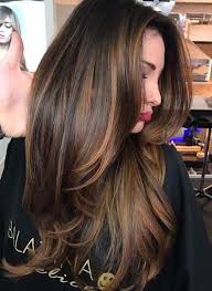 Long Brown Hair 2018 2019 With Layers Ideas For Fashion Brown Hair With Blonde Highlights Hair Styles Brunette Hair Color
