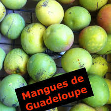 Ah Les Douces Mangues De Guadeloupe