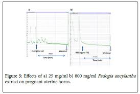 Image result for Fadogia ancylantha