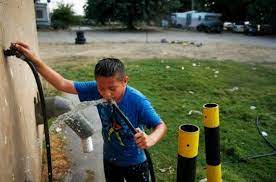 Are there risks to drinking water from a garden hose? Hose Water Is Not Safe For Animals And Humans