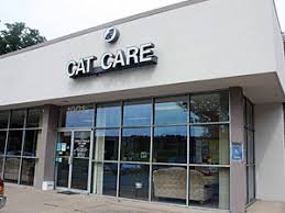 About Our Veterinary Hospital Charlottesville Cat Care Clinic
