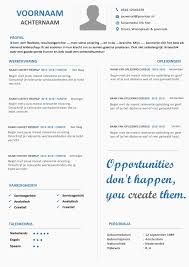 Cv Template Voorbeelden Per Branche In Word Format
