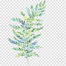 green leaf artwork watercolor painting leaf fern botanical illustration painting transparent background png clipart hiclipart green leaf artwork watercolor painting