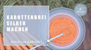 Bereits eingeschränkt dieses rezept vom karottenbrei eignet sich für alle lieblinge ab dem 5. Die Erste Beikost Babybrei Selber Machen Karottenbrei Rezept Youtube