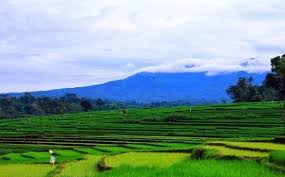 Lukisan atas pemandangan yang akan ditampilkan ini adalah. 16 Pemandangan Alam Pegunungan Indonesia Gambar Pemandangan Pegunungan Hd Download Gambar Wallpaper Download Indahnya Panorama Al Scenery Outdoor Farmland