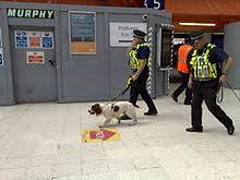 Almost all airport metal detectors are based on pulse induction (pi). Detection Dog Wikipedia