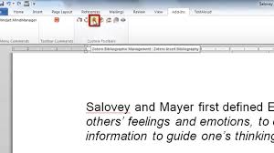 After going through the source creation process, you need to. 6 Adding A Bibliography In Ms Word Using Zotero Youtube