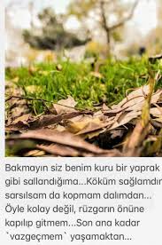 Kolaymi Oyle Yasamaktan Vazgecmek Yasamm Aah Ne Guzel Bir Omurdur Rabbim Herkese Hayirli Omurler Yasam Nasip Etsin Vazgecme Yaprak Anilar