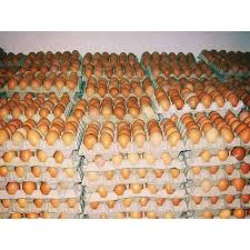 Check spelling or type a new query. Telur Ayam Telor Ayam 1 Papan Cek Deskripsi Shopee Indonesia