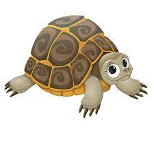 Turtle Png Clipart Turtle Png Image And Clipart Clip Art Png Images Turtle