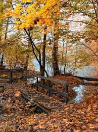 Check spelling or type a new query. Autumn Old Mobile Cell Phone Smartphone Wallpapers Hd Desktop Backgrounds 240x320 Images And Pictures