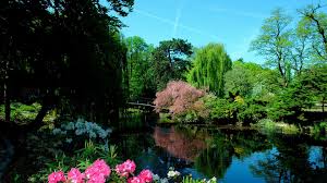 We did not find results for: Beautiful Hd Wallpapers 1920x1080 Zendha