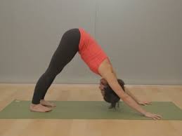 5 Hidden Benefits Of Downward Facing Dog Yoga Teacher Training Course Yoga Yoga Poses