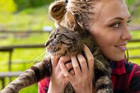 Public Park Woman Black White Plaid Shirt Petting Cuddling Big — Stock  Photo © Giulio_Fornasar #653649266