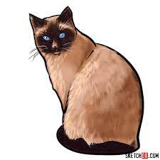 Drawing a cute cartoon puppy face. How To Draw The Siamese Cat Sketchok Easy Drawing Guides