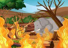 Incendios sandra milena caviedes naranjo zulma ruth gonzalez morales incendios integrantes diana carolina pava rodriguez jenny paola jimenez. 13 Ideas De Trabajo Salud Forestal Australia Animales Desastres Naturales