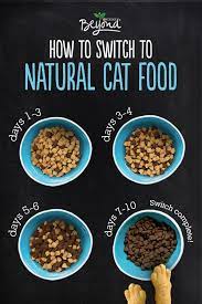 When Switching Your Pet To A Natural Cat Diet A Slow Change Is Best Natural Cat Food Should Be Integrated With Your Pet S Cat Diet Natural Cat Food Cat Food
