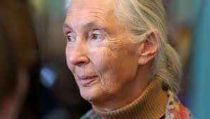 Jane Goodall at the Oregon Youth Summit