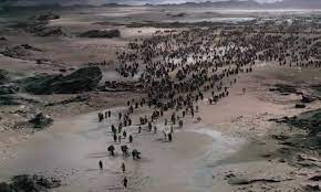 Their current lineup consists of guitarists gary holt and lee altus, bassist jack gibson, drummer tom hunting. What Does God Teach Us In Exodus Biblword Net