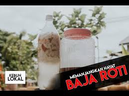 Rendam sekeping roti dalam air tanpa klorin. Video Resepi Baja Roti Expired Boleh Tahan Hampir Setahun Impiana
