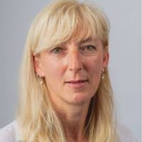 10+ 'Arline' profiles