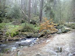 A creek (read 12024 times) 0 members and 1 guest are viewing this topic. Difference Between Brook And Creek Compare The Difference Between Similar Terms