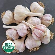 Pin On Vegetable Seeds To Grow