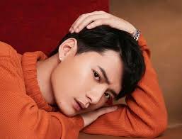 Menjadi seorang perawat haruslah mempunyai sikap dan karakter yang dapat mencerminkan profesi mulia ini. Krist Perawat Sangpotirat Biography Age Height Girlfriend Education Family House