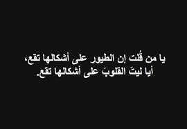 يا من ق لت إن الطيور على أشكالها تقع أيا ليت القلوب على أشكالها تقع arabic calligraphy calligraphy