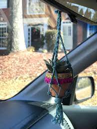 Send lasting smiles with a plant gift that will grow and flourish from 1800flowers®. My Lil Car Succulent Succulents