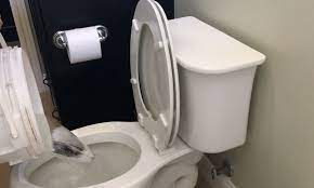 Remove the toilet tank reservoir lid. How To Flush A Toilet Without Water