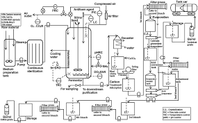 Production And Purification Of Glutamic Acid A Critical