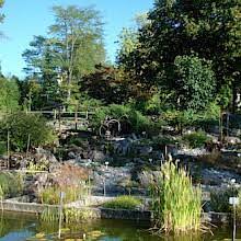 Startseite › dateien › pdfs › freundeskreis Der Garten Botanischer Garten Der Universitat Freiburg