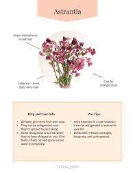 How to keep cut flowers fresh for a wedding. Diy Wedding Flower Care Fresh Flowers For Weddings Bulk Wedding Flowers Wedding Flower Packages Bulk Flowers Online