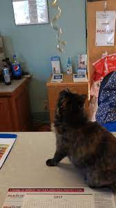 Maybe you would like to learn more about one of these? Home Veterinary Care Home Facebook