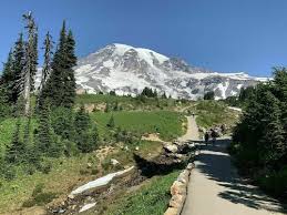 Cherish the next 1.25 miles, which climb 850 feet to panorama point. Mount Rainier National Park Beste Route Schneeschuhwandern Alltrails