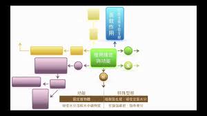 34,244 likes · 79 talking about this. å…­å®¶åœ‹å°ç©Žè³‡è¨Š è‡ªç„¶æ•™å­¸