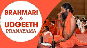 Bhastrika pranayam, kapal bhati pranayam, bahaya pranayam, anulom vilom pranayama, bhramri pranayam, udgeeth pranayam, and pranab dwani. Bhramari Udgeeth Pranayama Steps Benefits Swami Ramdev Youtube