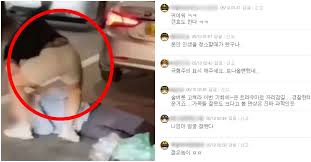 (심약자 주의) 실시간 신림동 난곡터널 앞 택시기사 폭행. Pr073nwmpprvxm